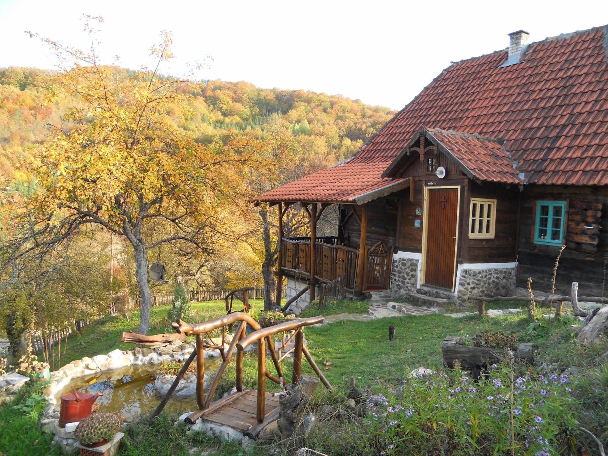 Apartment Cerova Kosa Mokra Gora Buitenkant foto